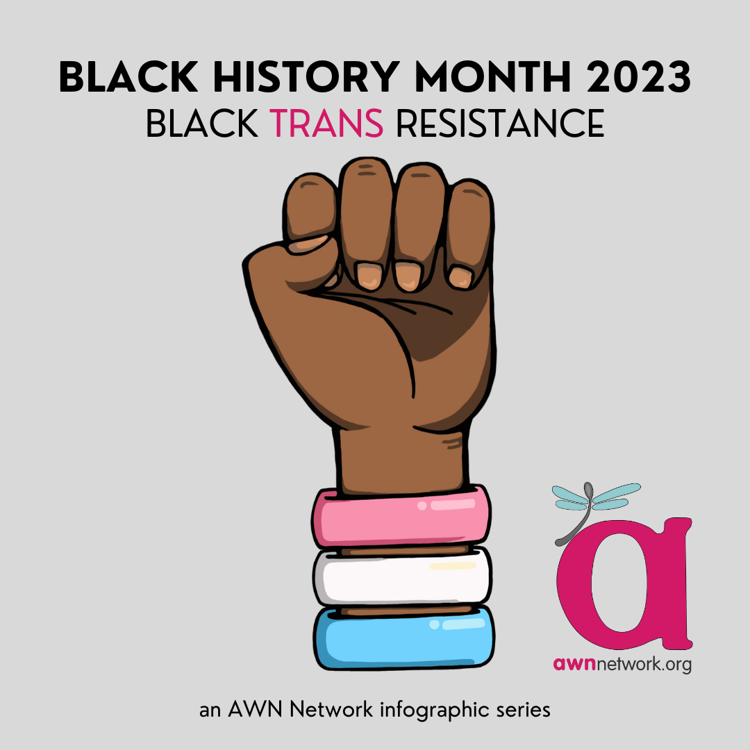Illustration and text against a pale grey background. Text reads: “BLACK HISTORY MONTH 2023 BLACK TRANS RESISTANCE” At center is a drawing of a Black fist raised with bracelets in the trans flag colors: pink, white and blue. At center bottom dark text reads: “an AWN Network Infographic Series” In the lower right hand corner is the awn logo: a large pink “a” with a teal spoonie dragonfly and our website awnnetwork.org.